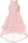 Flower Girl Dress Kids Wedding Guest Birthday Party Formal Lace Tulle Princess High Low Dresses 5-10Y